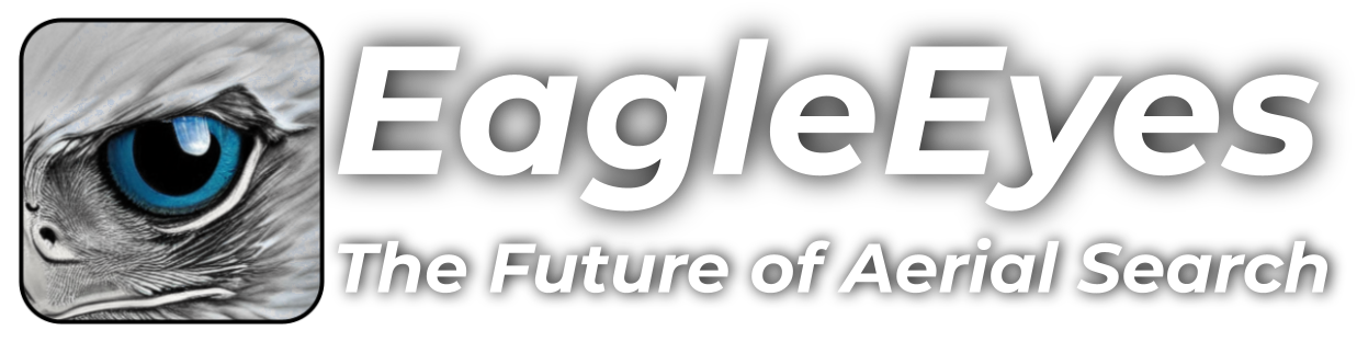 Eagle Eyes Search